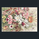 Feuille De Papier Cadeau Orchidées, Orchidées Denusblumen par Ernst Haeckel<br><div class="desc">Orchidées,  Orchidées Denusblumen par Ernst Haeckel Papier de recouvrement</div>