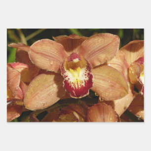 Feuille De Papier Cadeau Orchidées pêche avec fleurs à gouttes de pluie