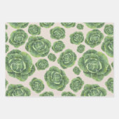 Feuille De Papier Cadeau Organic Green Cabbage Design  (Devant)