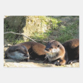 FEUILLE DE PAPIER CADEAU OTTERS (Devant)