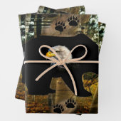 Feuille De Papier Cadeau Ours (En situation)