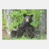 Feuille De Papier Cadeau Ours noir et cubes jumeaux (Devant 2)