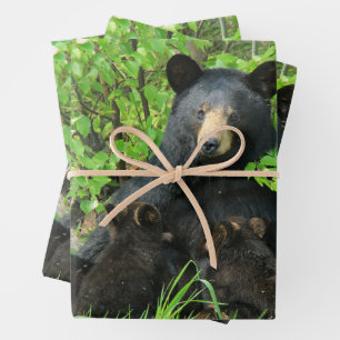 Feuille De Papier Cadeau Ours noir et cubes jumeaux