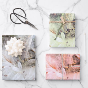 Feuille De Papier Cadeau Ouvrir les pots d'algues   Graines avec soie  