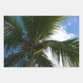 Feuille De Papier Cadeau Overlapping Palm Fronds Tropical Green Abstract (Devant 2)