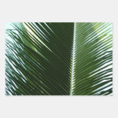 Feuille De Papier Cadeau Overlapping Palm Fronds Tropical Green Abstract (Devant)