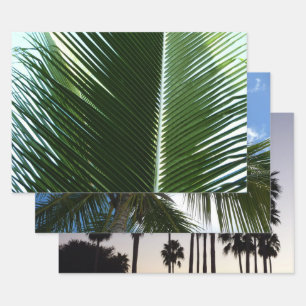 Feuille De Papier Cadeau Overlapping Palm Fronds Tropical Green Abstract