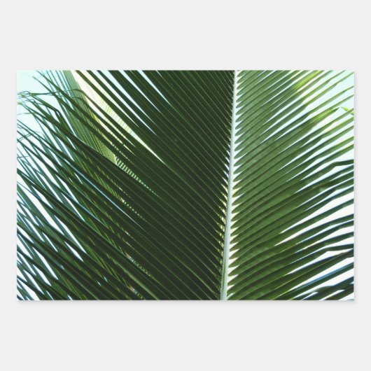 Feuille De Papier Cadeau Overlapping Palm Fronds Tropical Green Abstract (Devant)