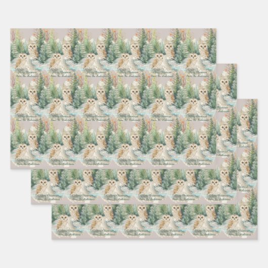 Feuille De Papier Cadeau Owl Chrismas Wrapping Paper Flat Sheet Set of 3 (Lot)