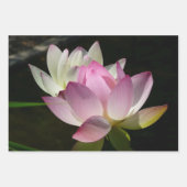 Feuille De Papier Cadeau Paire de fleurs de Lotus II (Devant)