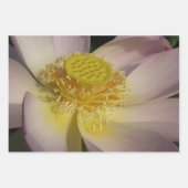 Feuille De Papier Cadeau Paire de fleurs de Lotus II (Devant 3)