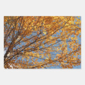 Feuille De Papier Cadeau Paire d'érables jaunes Nature d'automne