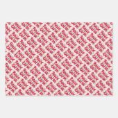 Feuille De Papier Cadeau PAIX SUR TERRE Noël Vacances MainDrake Variété (Devant 3)