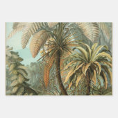 Feuille De Papier Cadeau Palm Antique Fruit Tropical Art Botanique (Devant 2)