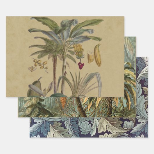 Feuille De Papier Cadeau Palm Antique Fruit Tropical Art Botanique (Lot)