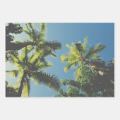 Feuille De Papier Cadeau Palm Tree Tropical Vibe Green Blue Sky (Devant 2)