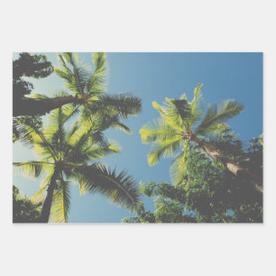 Feuille De Papier Cadeau Palm Tree Tropical Vibe Green Blue Sky