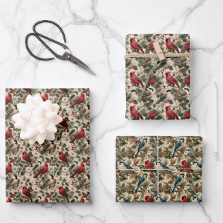 Feuille De Papier Cadeau Papiers Cadeaux Plats Botaniques Noël Oiseaux d'Hi
