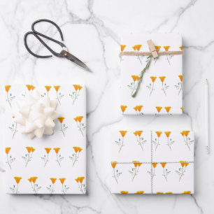 Feuille De Papier Cadeau Papiers enveloppés par les papillons de Californi