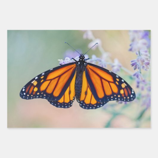 Feuille De Papier Cadeau Papillon monarque (Devant 2)