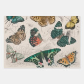 Feuille De Papier Cadeau Papillons Collection Antique Papillons (Devant 3)