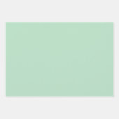 Feuille De Papier Cadeau Pastel Pale Vert Couleur uni | Classic Elegant (Devant 2)