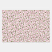 Feuille De Papier Cadeau Pastel Pink Green Floral (Devant 2)
