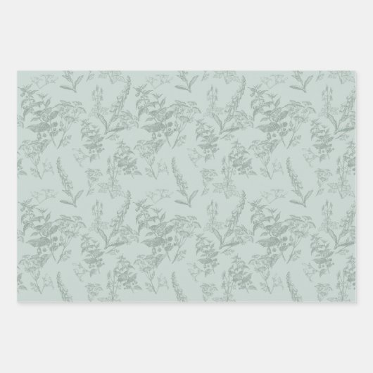 Feuille De Papier Cadeau Pastel & Sage Green Poison Fleur Botanique (Devant)