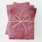 Feuille De Papier Cadeau Pastèque (En situation)