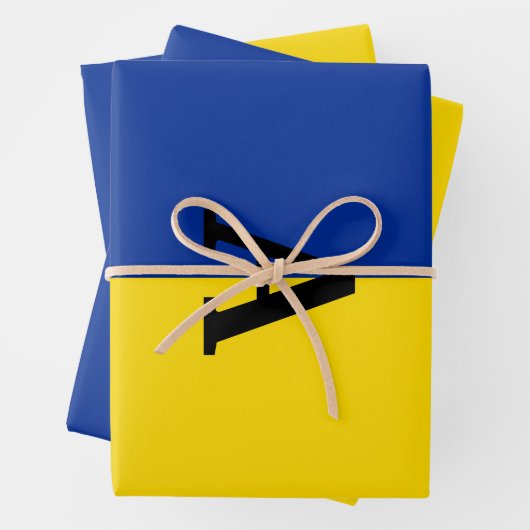 Feuille De Papier Cadeau Pavillon d'Ukraine vertical monogramme bleu et jau (En situation)
