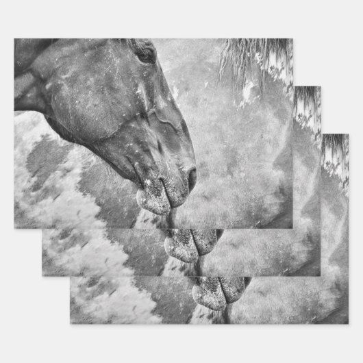 Feuille De Papier Cadeau Pays Cheval Rustique Noir Et Blanc Découpage (Lot)