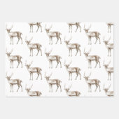 Feuille De Papier Cadeau Pays Red Green Plaid Christmas Deer (Devant 2)
