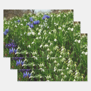 Feuille De Papier Cadeau Paysage de fleurs de début de printemps à flanc de