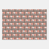 Feuille De Papier Cadeau Peach & Brown Home, Sweet New Home - Texas (Devant)