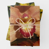 Feuille De Papier Cadeau Peach Orchids with Raindrops Floral (En situation)