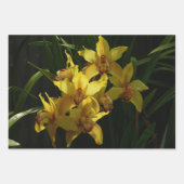 Feuille De Papier Cadeau Peach Orchids with Raindrops Floral (Devant 3)
