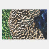 Feuille De Papier Cadeau Peacock wrapping paper (Devant 2)