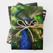 Feuille De Papier Cadeau Peacock wrapping paper (En situation)