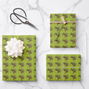 Feuille De Papier Cadeau Pêcheur sportif de poisson sur canne à pêche