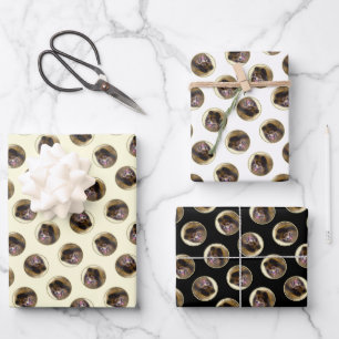 Feuille De Papier Cadeau Peinture Poméranienne Orange Sable Original Chien