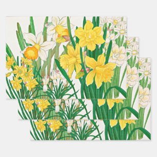Feuille De Papier Cadeau Peinture sur bois de narcisse