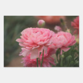 Feuille De Papier Cadeau Peony Rose Ranunculus Closeup (Devant)