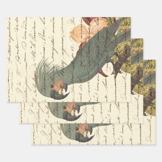 Feuille De Papier Cadeau Perroquet gris avec fleurs et cursive (Lot)