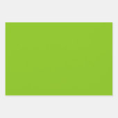 Feuille De Papier Cadeau Perroquet massif de couleur claire vert citron (Devant 2)