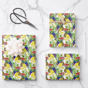 Feuille De Papier Cadeau Perroquets Et Fruits Tropicaux