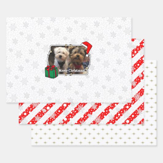 Feuille De Papier Cadeau Personnalisé Trois Photo Animaux de Noël Santa Hat (Lot)