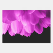 Feuille De Papier Cadeau Pétales de fleurs roses chaudes sur noir (Devant 3)
