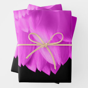Feuille De Papier Cadeau Pétales de fleurs roses chaudes sur noir