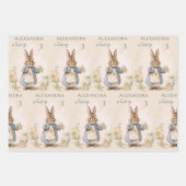 Feuille De Papier Cadeau Peter le lapin fête d'anniversaire (Devant)