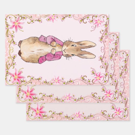 Feuille De Papier Cadeau Peter le lapin rose veste Floral Frame (Lot)